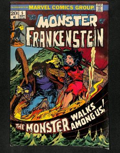 Frankenstein #5