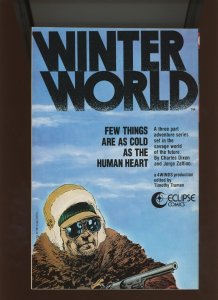 (1987) Valkyrie #3: COPPER AGE! A THREE-PART MINI-SERIES! (9.0/9.2)