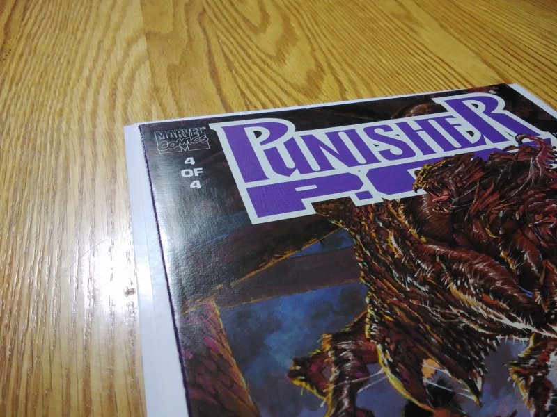 The Punisher: P.O.V. #4 (1991)