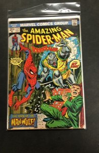 The Amazing Spider-Man #124 (1973)