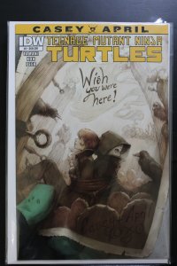 Teenage Mutant Ninja Turtles: Casey and April #2 Sub Cover (2015)