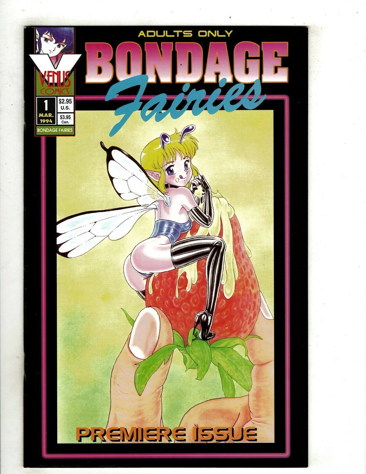 Bondage fairies book