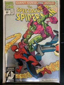 Peter Parker, The Spectacular Spider-Man #200 (1993)