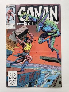 Conan The Barbarian 214