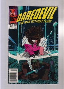 Daredevil #256 - Blindspots! (8.5) 1988
