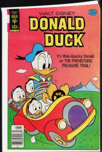 Donald Duck #195 (1978)