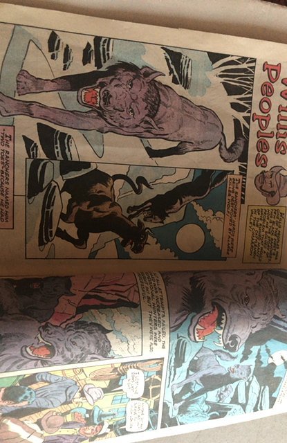 Golden Legacy #12 (1972)Black Cowboys..only one on site!