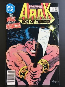 Arak, Son of Thunder #29 (1984)