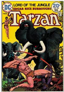 TARZAN 229 VF-NM Mar. 1974 COMICS BOOK