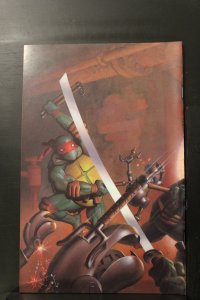 Teenage Mutant Ninja Turtles #2 3rd Print Variant (1984)
