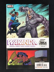 Wakanda #1 Second Print Cover (2022)