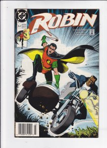 Robin #3