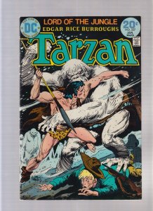 Tarzan #227 - Ice Jungle! (6.0) 1974