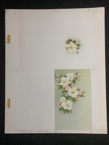 DOGWOOD Pink & White Flowers 2-Panels 11.5x14.5 Greeting Card Art #745