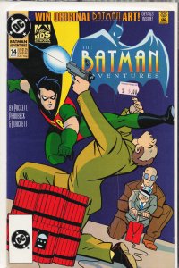 The Batman Adventures #14 (1993) Robin