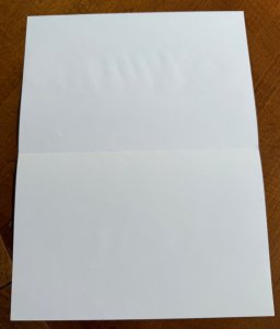 Skaar, Son of Hulk Mini-poster (2008) - Marvel Characters Inc. - New