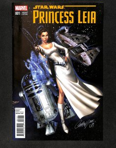 Princess Leia #1 Dodson Variant 1:50 Retailer Incentive