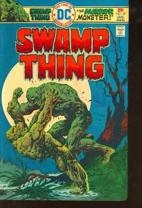 Swamp Thing #20