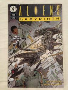 ALIENS : LABYRINTH - Complete Four (4) Issue Mini Series Lot - #1, #2, #3, & #4