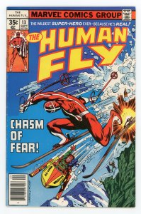 Human Fly #13 Bill Mantlo VF