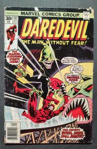 Daredevil #137 (1976)