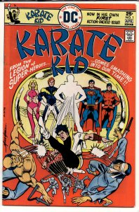 Karate Kid #1 (1976) Karate Kid