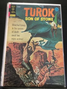 Turok, Son of Stone #91 (1974)