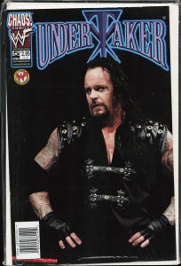 Undertaker #5 Variant Cover (1999)