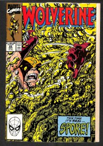 Wolverine #22 (1990)