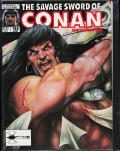 The Savage Sword of Conan #169 (1990) Conan