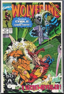 Wolverine #41 (1991) Wolverine