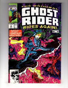 GHOST RIDER Comic Book Lot of (10) / ID#953