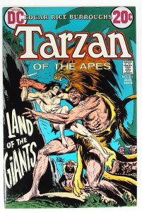 Tarzan (1972 series)  #211, NM- (Actual scan)