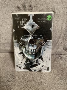 Bone Orchard: Ten Thousand Black Feathers #1 Cover C by Martin Simmonds (2022)