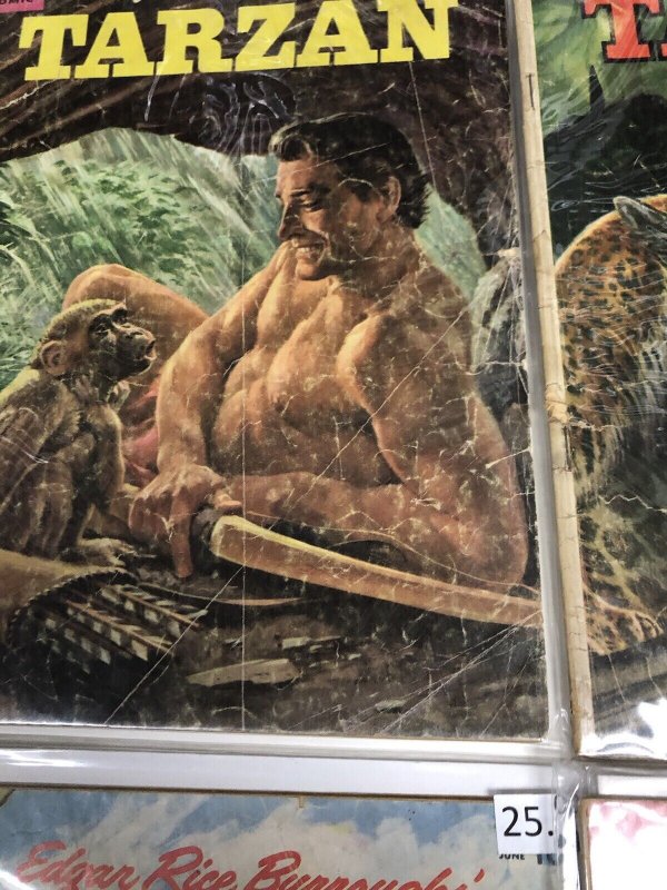 Tarzan (1954) Set Issues # 65-74 • Dell Comics • Golden Age • Rice Burrough