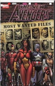 The New Avengers: Most Wanted Files (2006)