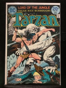 Tarzan #227 (1974)
