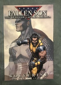 Fallen Son: The Death of Captain America Michael Turner Cover (2007)