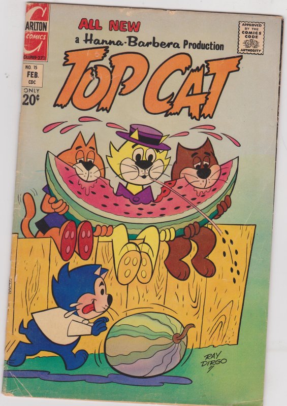 Top Cat #15