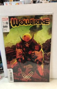 Wolverine #20 Coccolo Cover (2022)