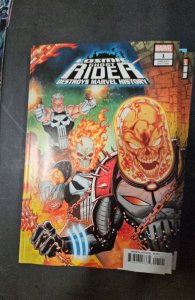Cosmic Ghost Rider Destroys Marvel History #1 Lim Cover (2019)