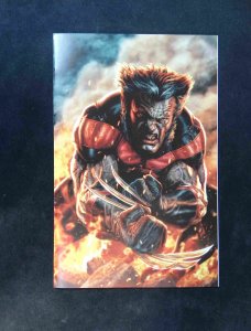 Ultimate Wolverine #1H  Marvel Comics 2025 NM-  1:100 Cappuccio VARIANT