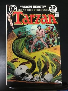 Tarzan #225 (1973) vf