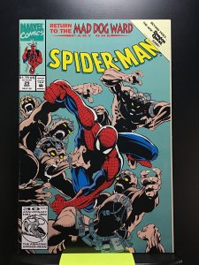 Spider-Man #29 (1992)