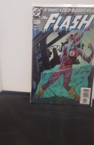 The Flash #204 (2004)