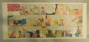 Wild Rose by Art Huhta from 3/5/1950 Third Page Size 7.5 x 15 Inches Hillbilly