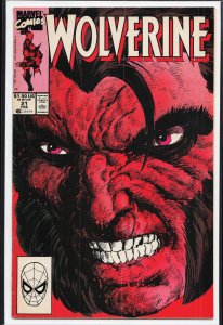 Wolverine #21 (1990) Wolverine