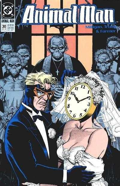 Animal Man (1988 series) #30, NM (Stock photo)