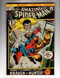 The Amazing Spider-Man #111 (1972)   / MC#102