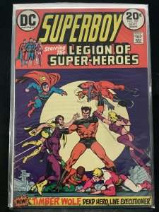 Superboy #197 (1973)